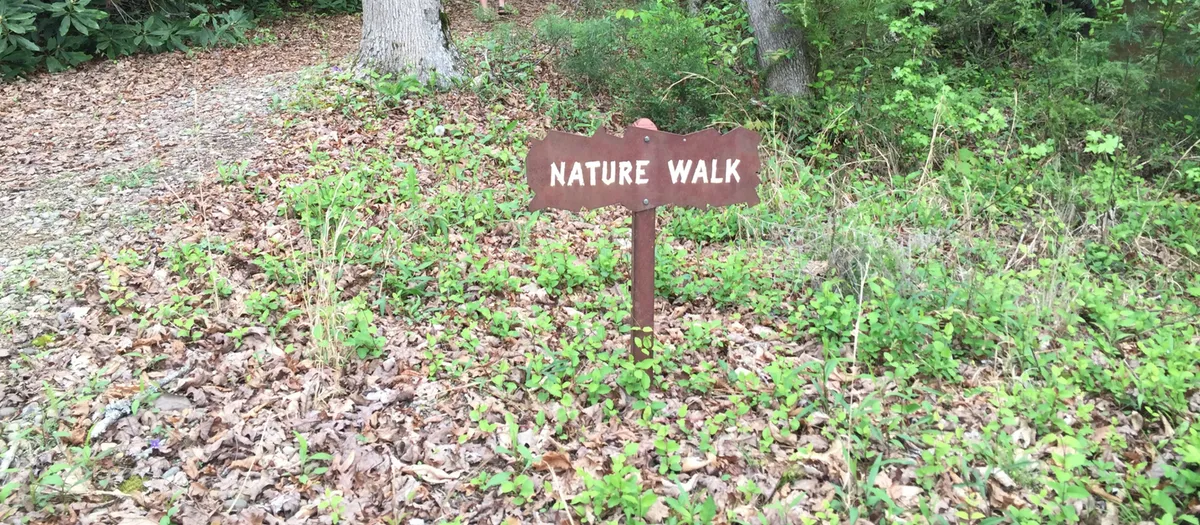 The image captures the 'Nature Walk' sign nestled among lush greenery and a leaf-covered ground, inviting guests to start their day with an outdoor adventure. The inviting path suggests opportunities for walking, exploring, and birdwatching within the resort's natural setting.